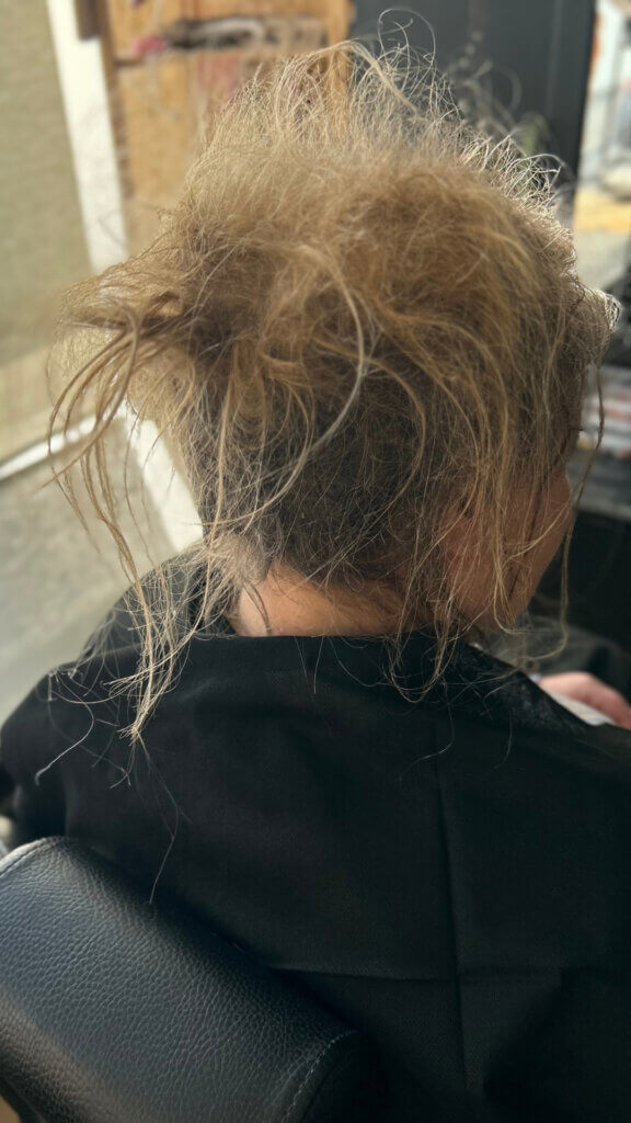 Severely matted hair before detangling, viewed from behind