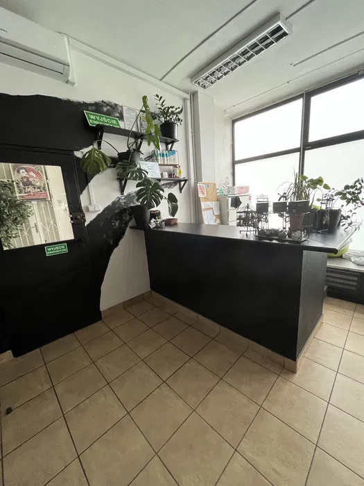 Czarna lada recepcji FREAK SALON i rośliny przy oknie