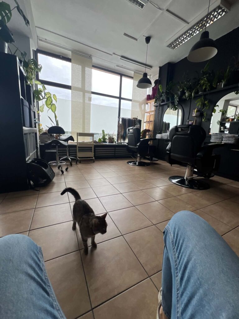 Sala FREAK SALON ze stanowiskami i salonowym kotem