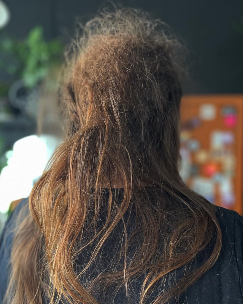 Long brown hair with a mat before detangling